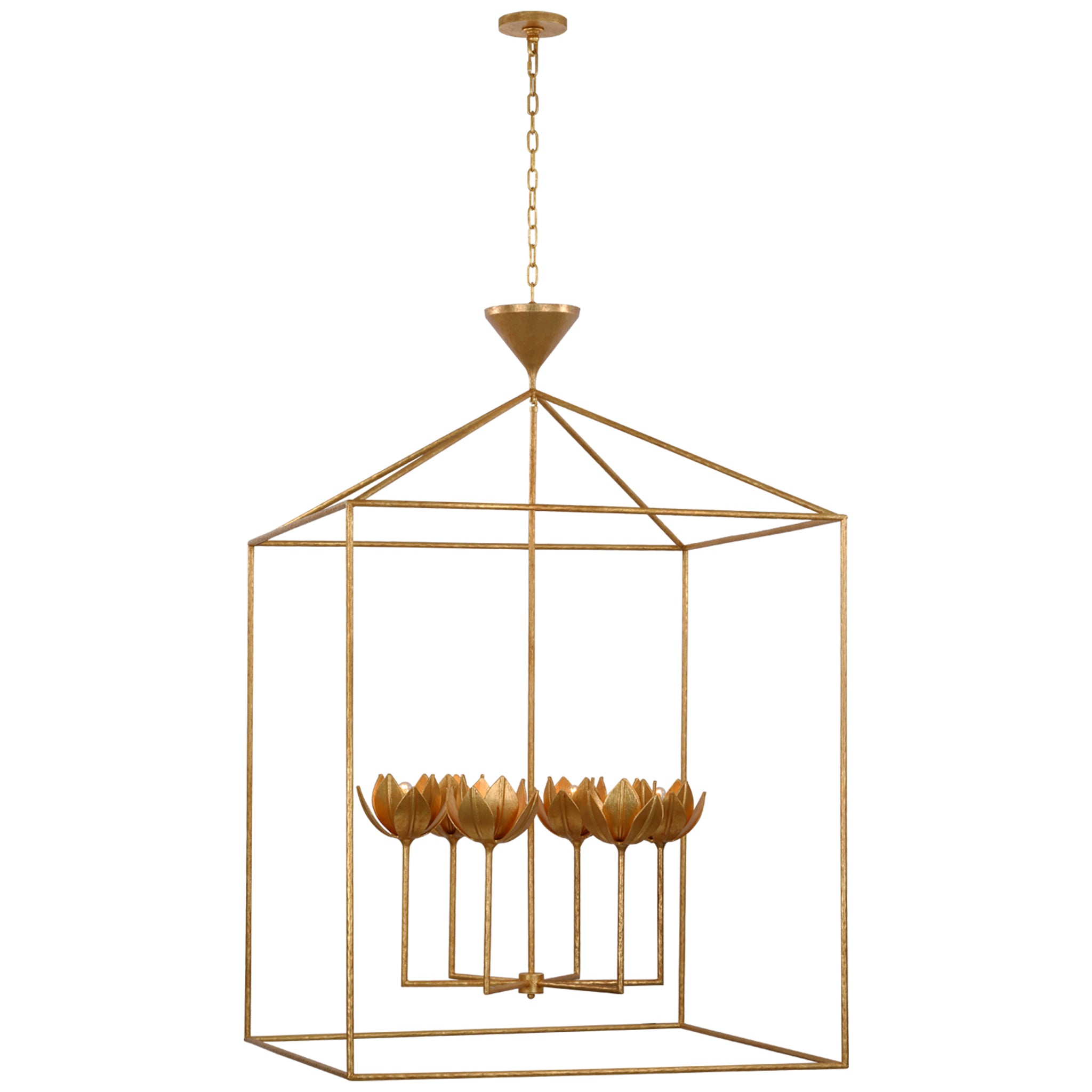 RESTORATIVE DESIGN & PRACTICAL OCCLUSIO… 61PEuHe3ByL._UF350,350_QL50_.jpg