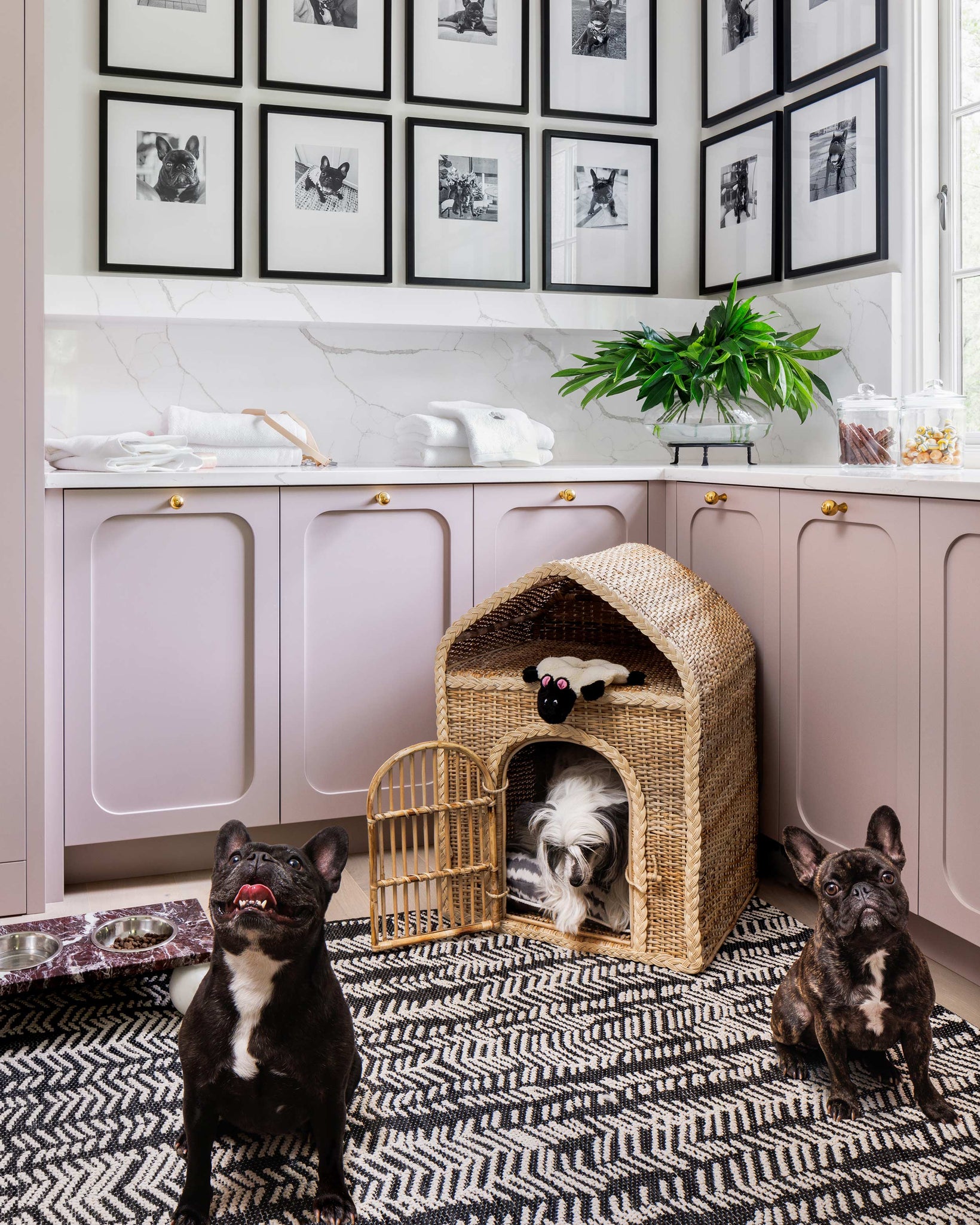 Evan Millárd - Julie Neil Designs