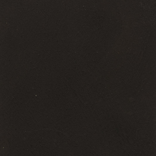 Jackson Bronze